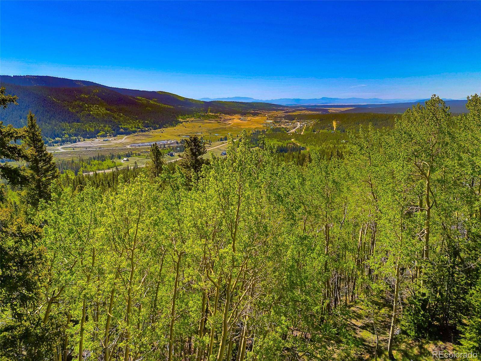 715 Lewsader RD, Alma, CO 80420