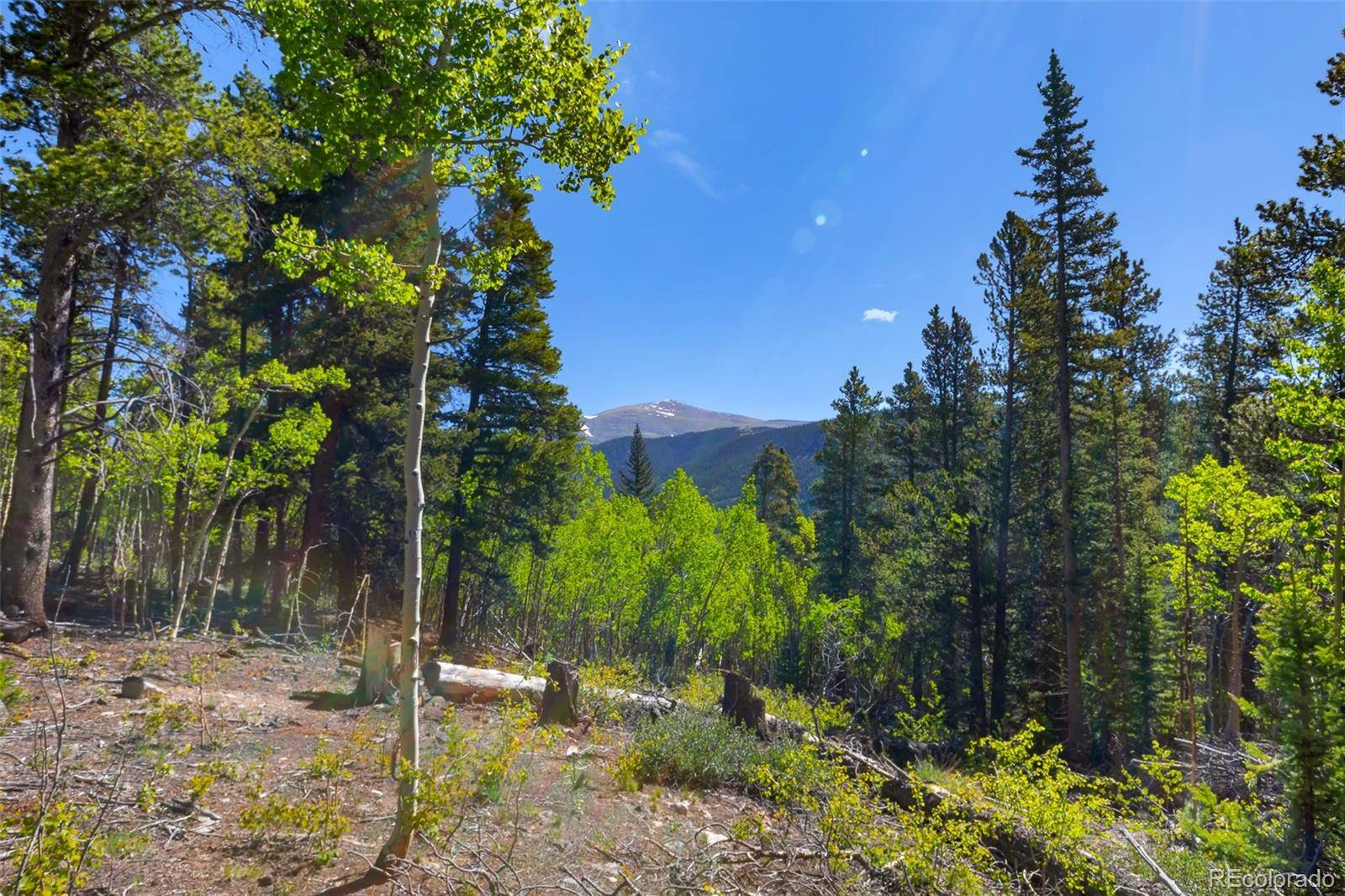 715 Lewsader RD, Alma, CO 80420