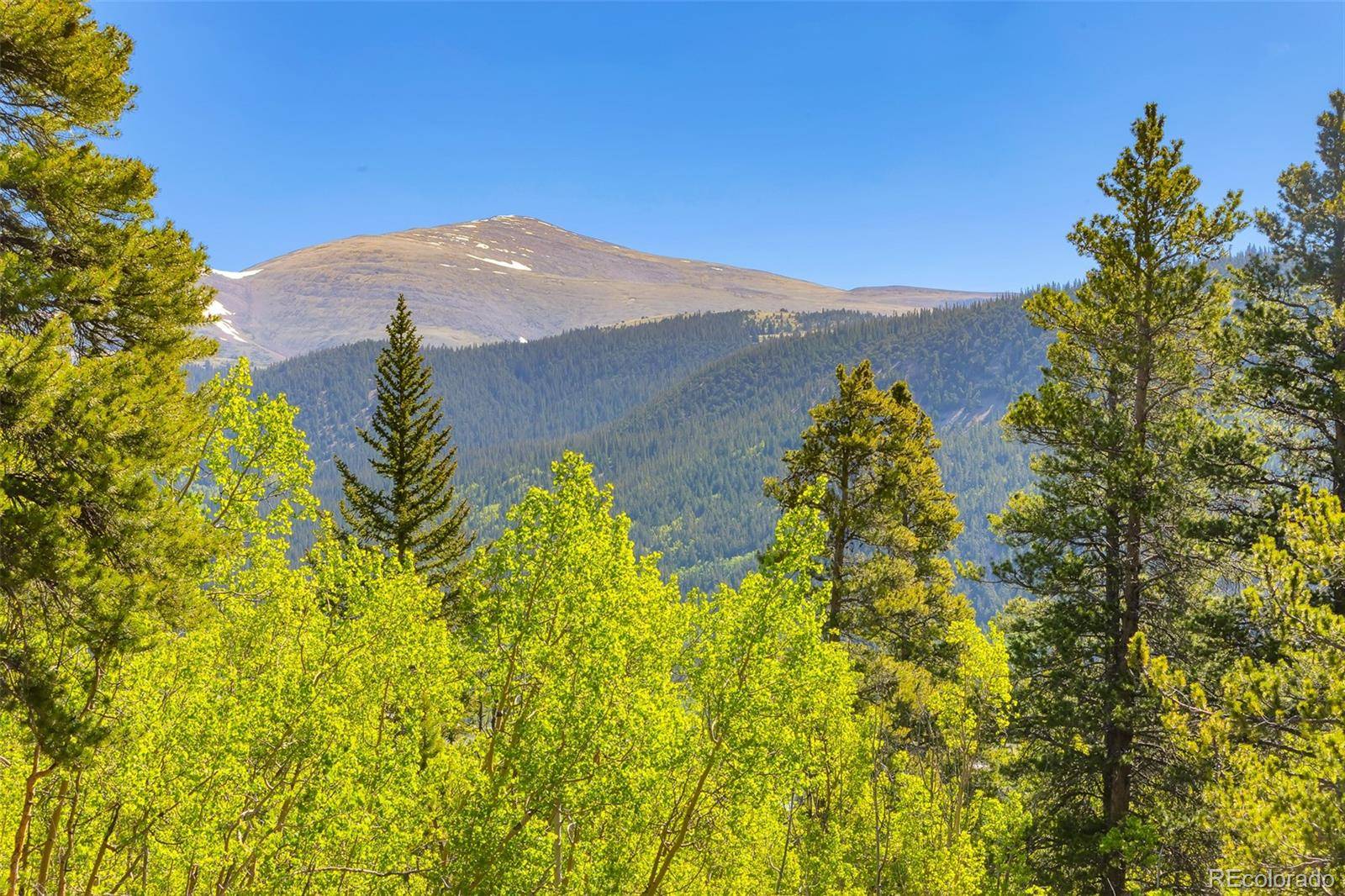 715 Lewsader RD, Alma, CO 80420