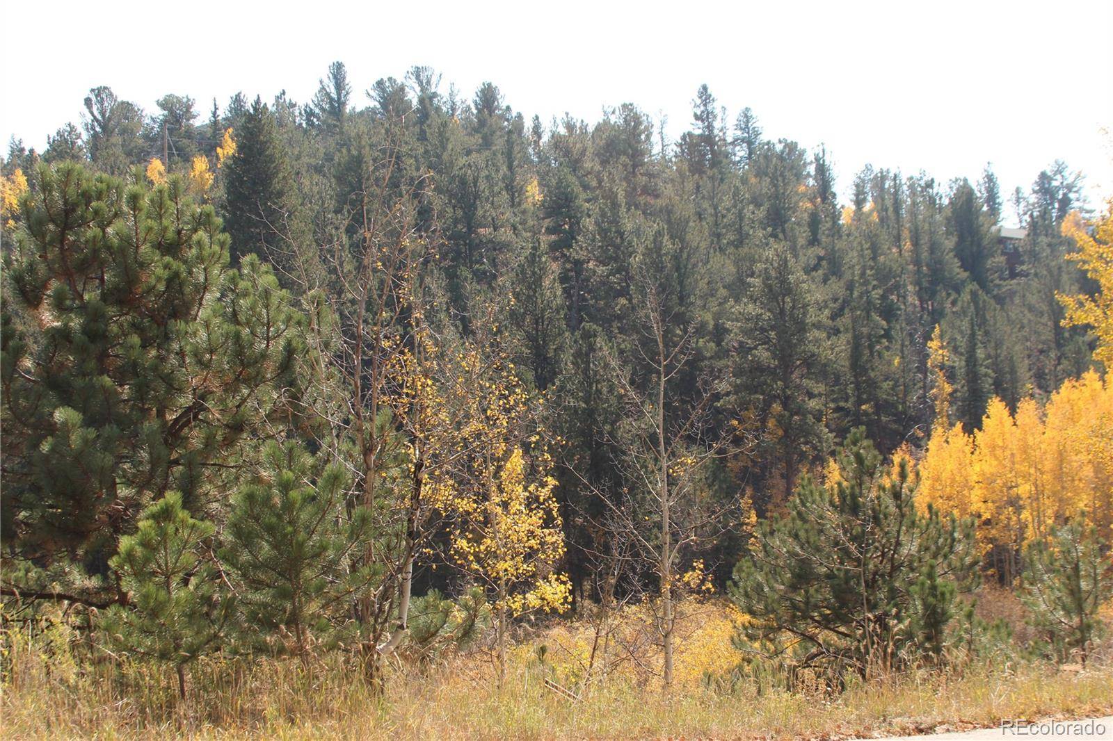 2012 Shelton DR, Bailey, CO 80421