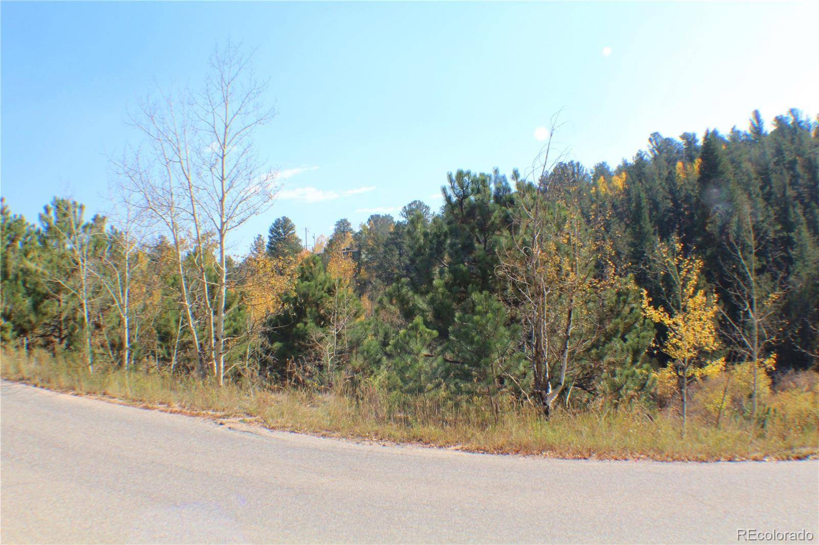 2012 Shelton DR, Bailey, CO 80421