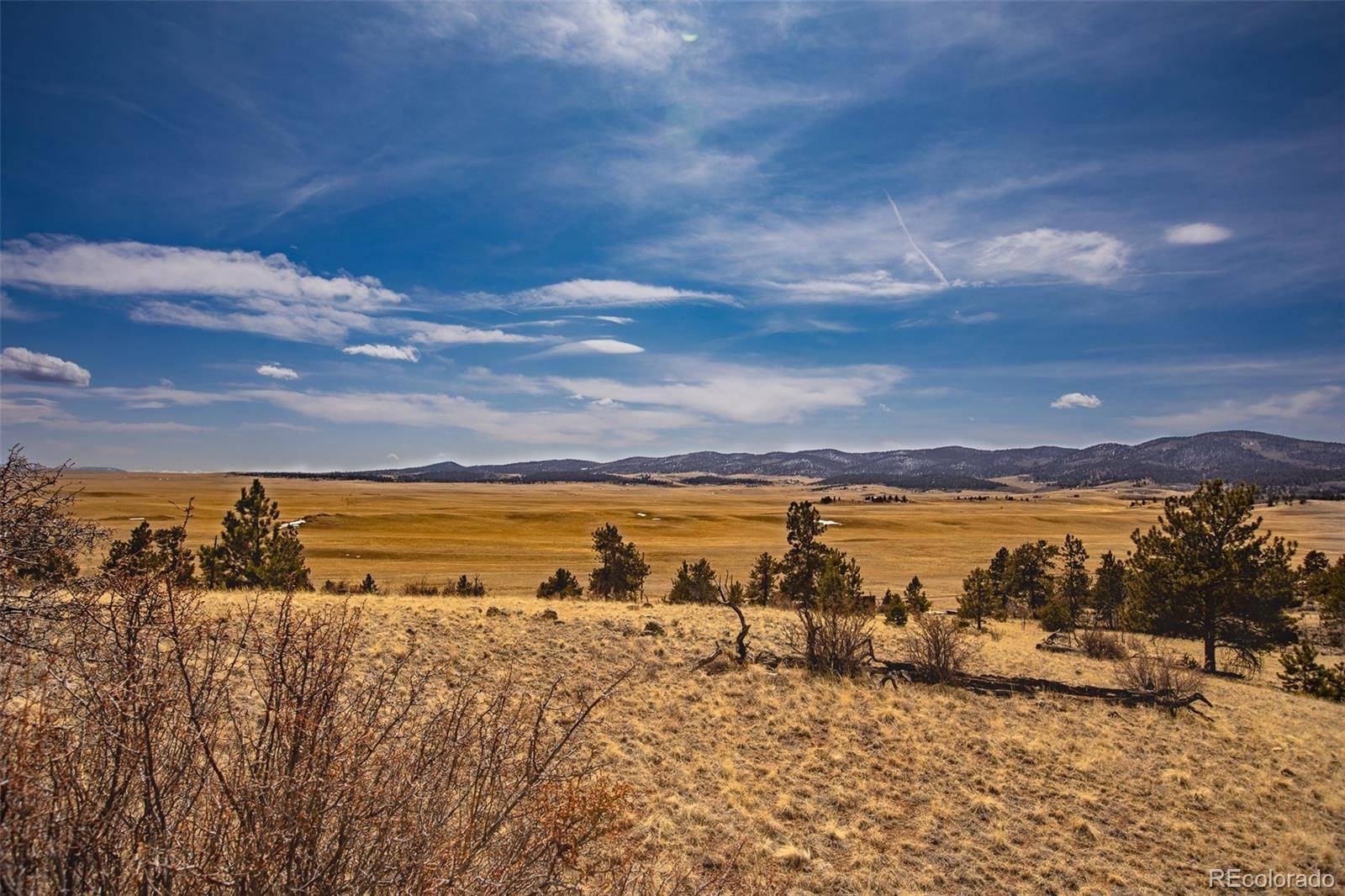 102 Pack Saddle CT, Hartsel, CO 80449
