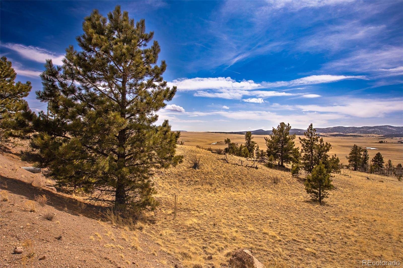 102 Pack Saddle CT, Hartsel, CO 80449