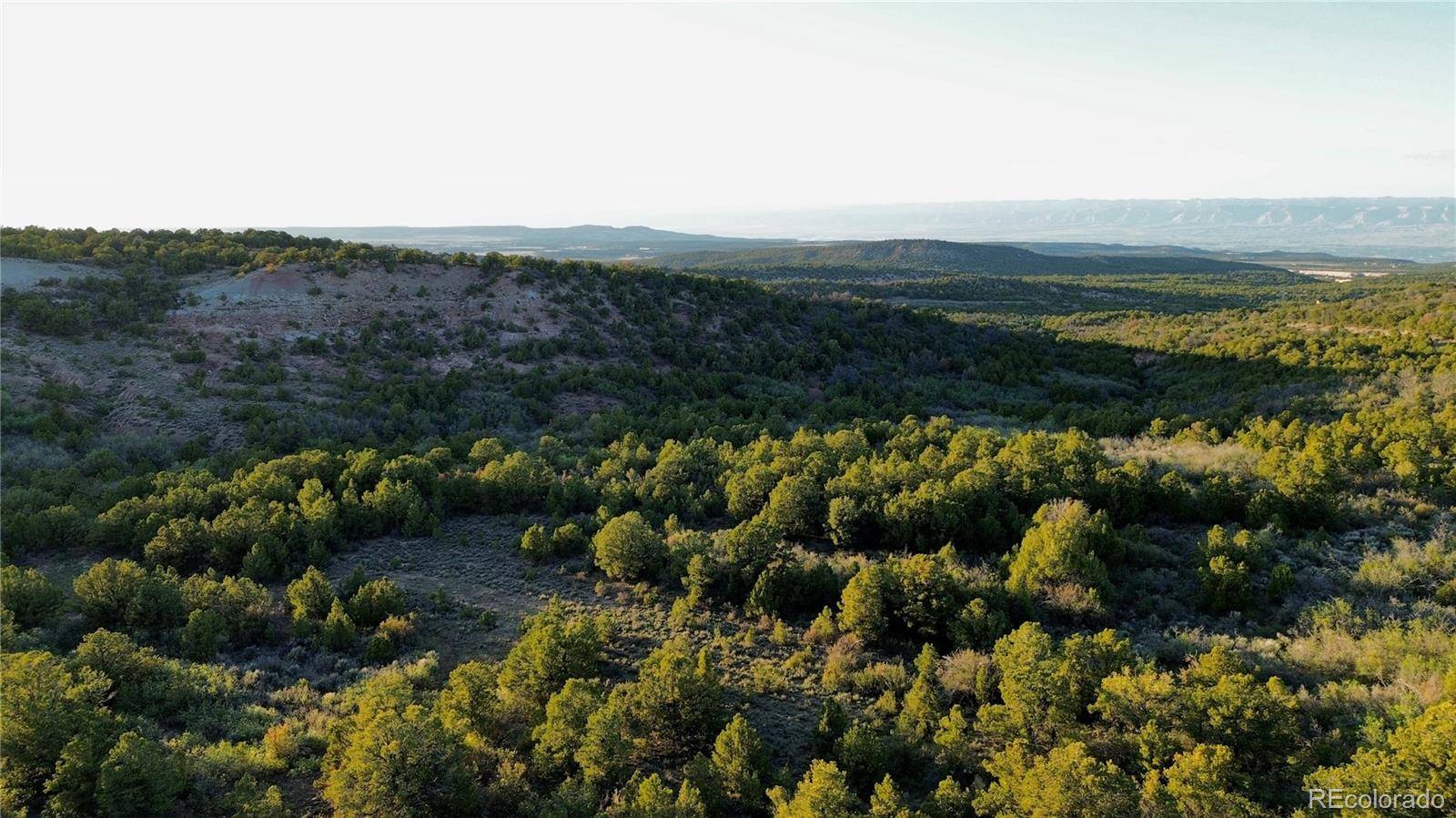18975 Elk Reserve RD, Glade Park, CO 81523