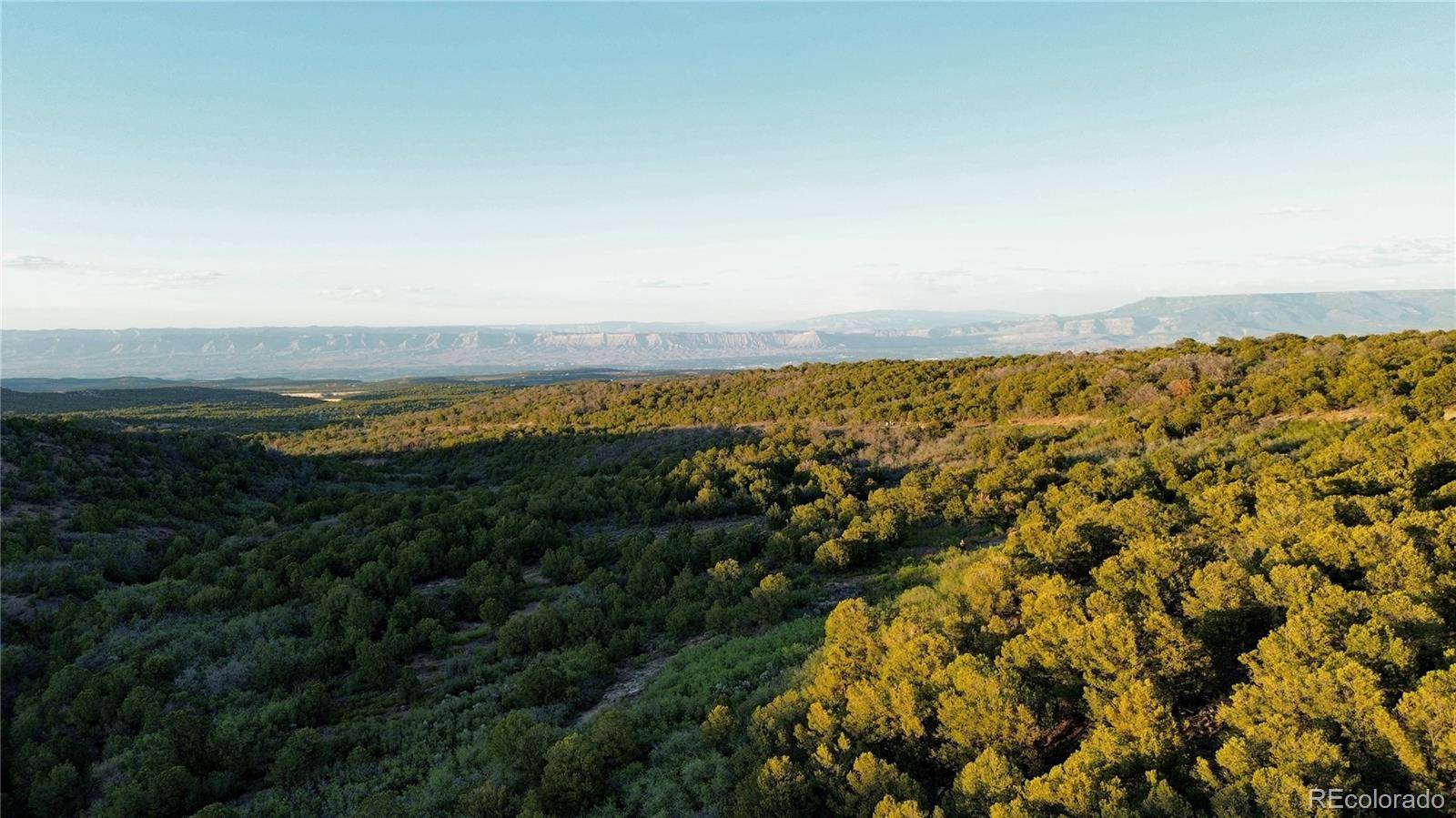 18975 Elk Reserve RD, Glade Park, CO 81523