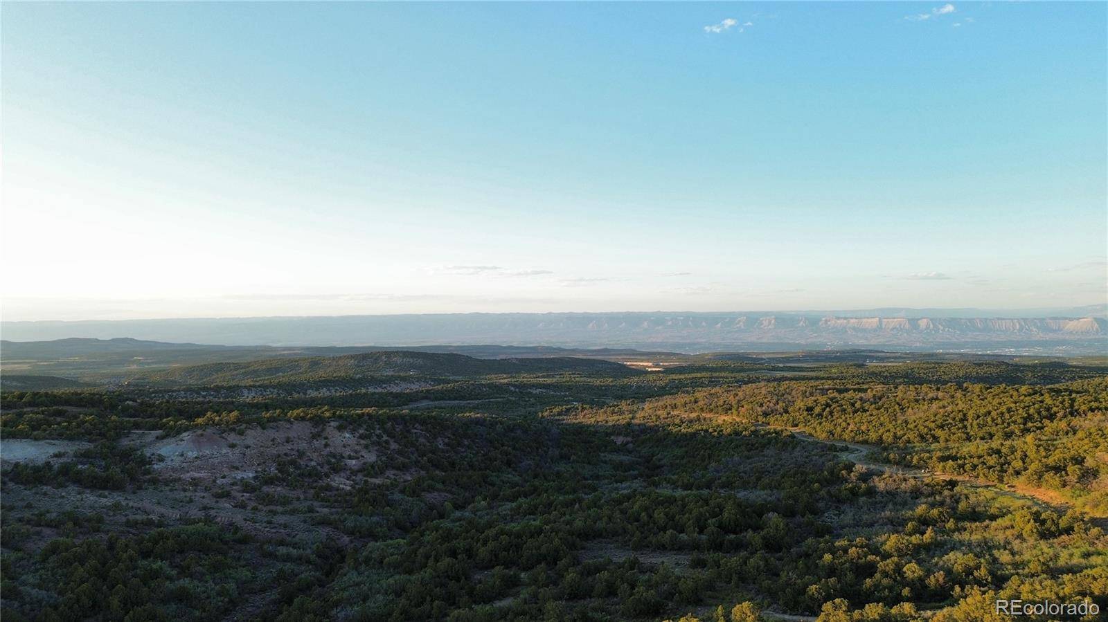 18975 Elk Reserve RD, Glade Park, CO 81523
