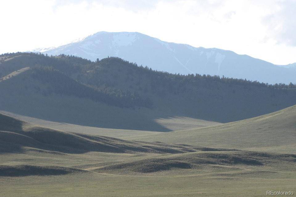 1185 County Road 734, Fairplay, CO 80440