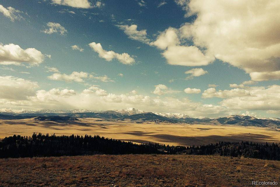 1185 County Road 734, Fairplay, CO 80440