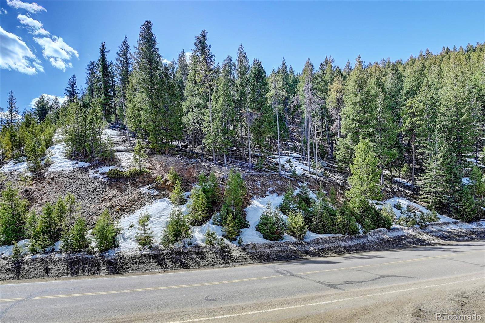 00 Saddleback, Evergreen, CO 80439