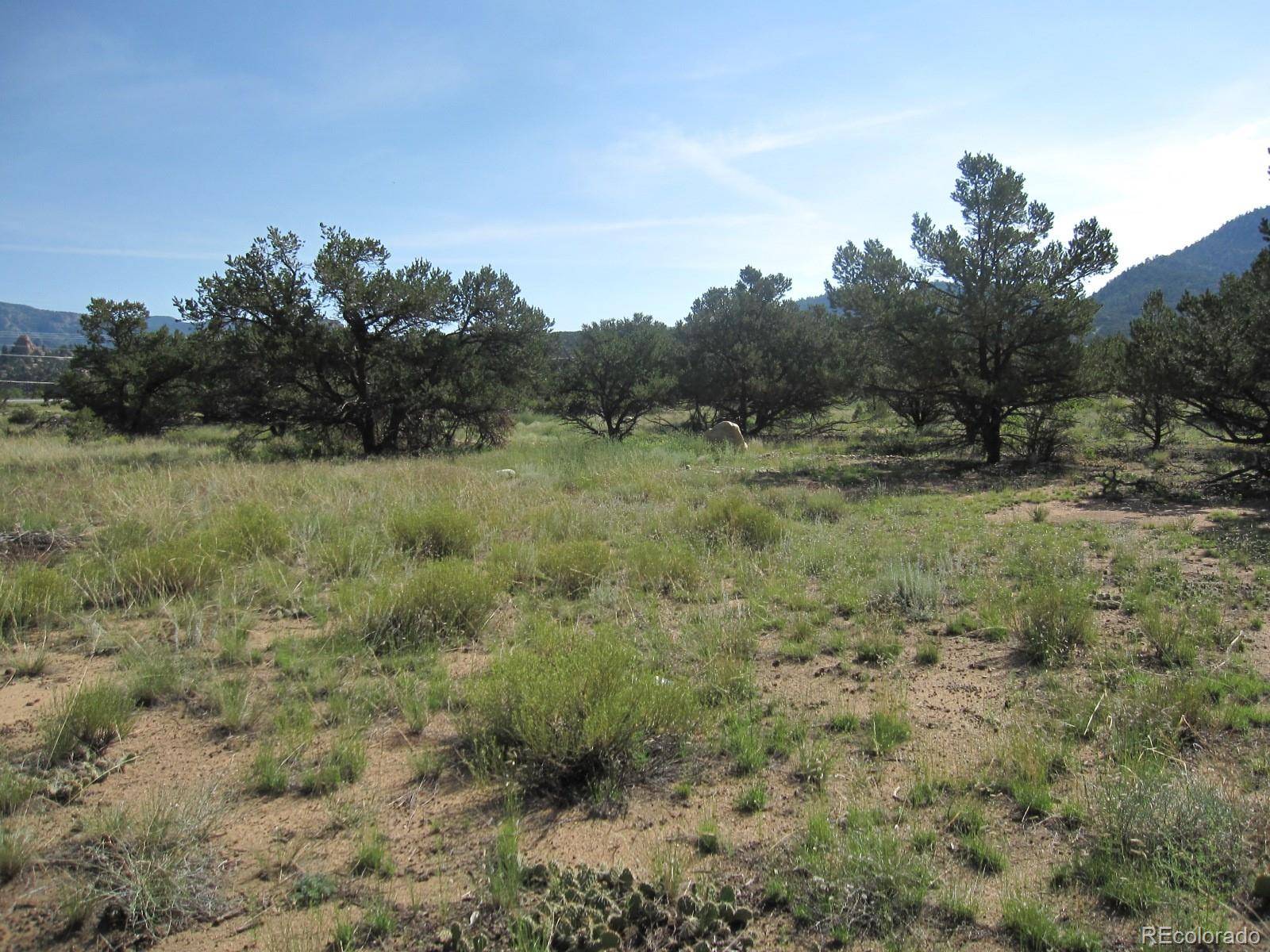 30036 Teal RUN, Buena Vista, CO 81211