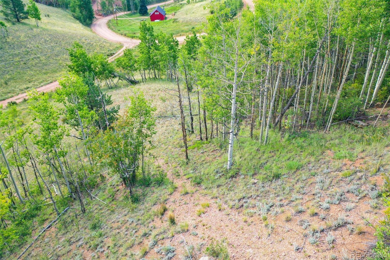 1300 Golden Cycle CIR, Cripple Creek, CO 80813