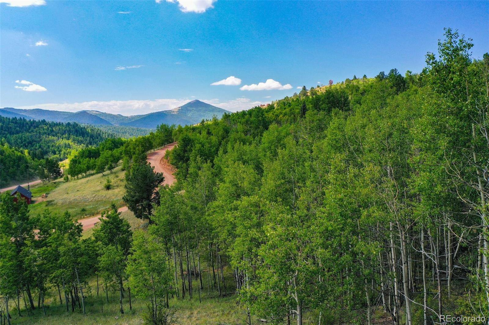 1300 Golden Cycle CIR, Cripple Creek, CO 80813