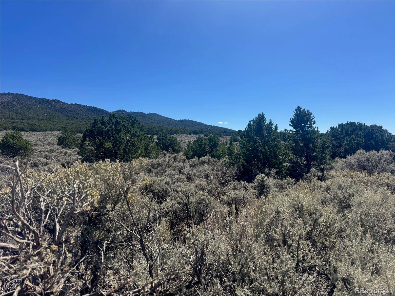 lot 1275 Juarez RD, Fort Garland, CO 81133