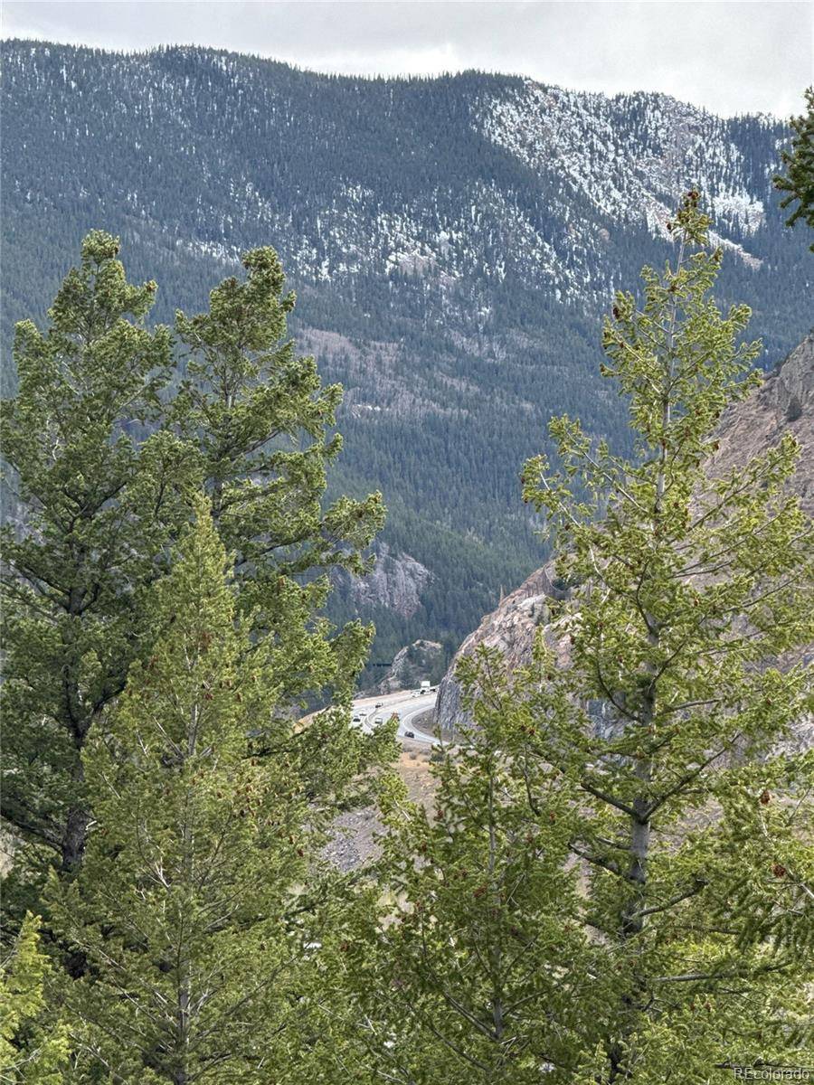 112 Skyline RD, Georgetown, CO 80444