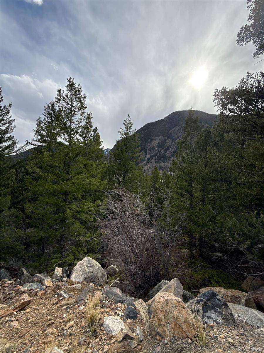 112 Skyline RD, Georgetown, CO 80444