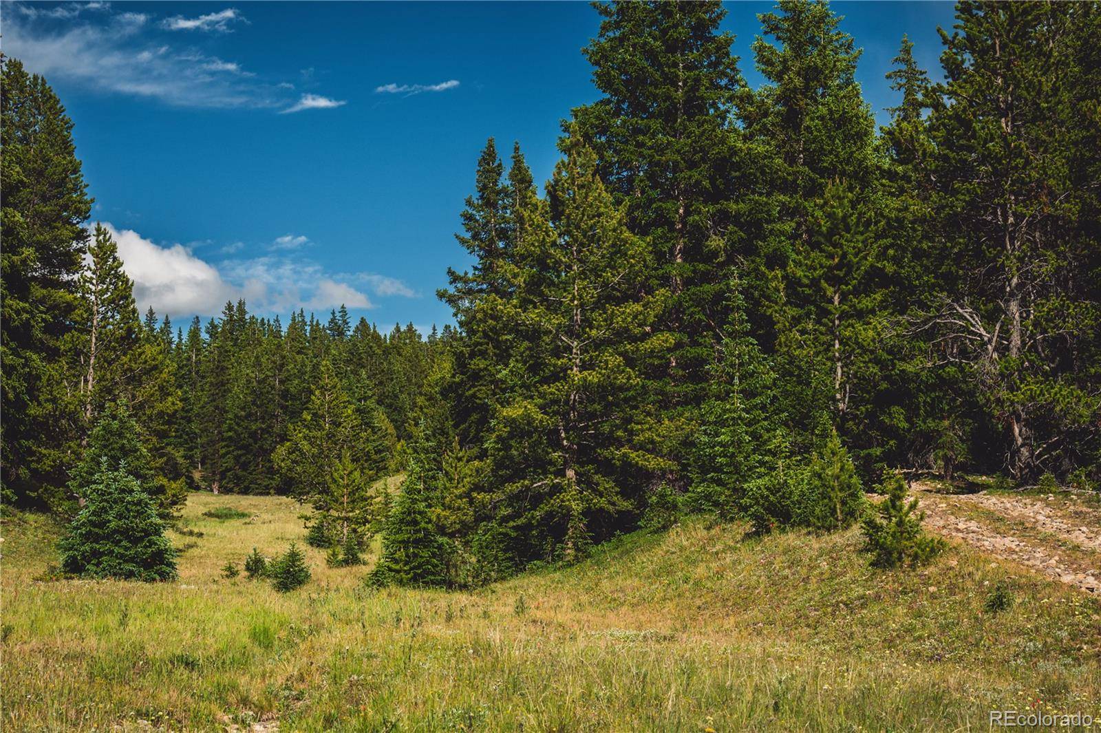 5347 Monitor, Leadville, CO 80461