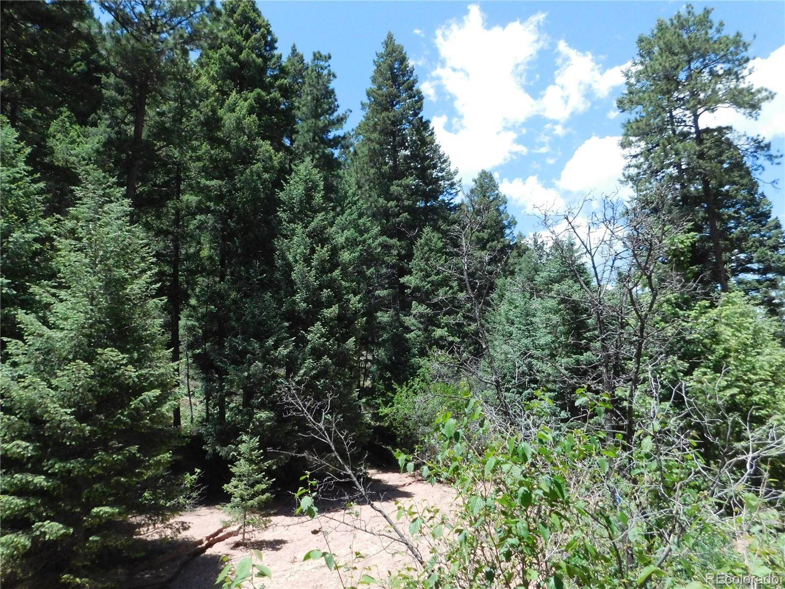 13175 Spruce Creek CIR, Larkspur, CO 80118