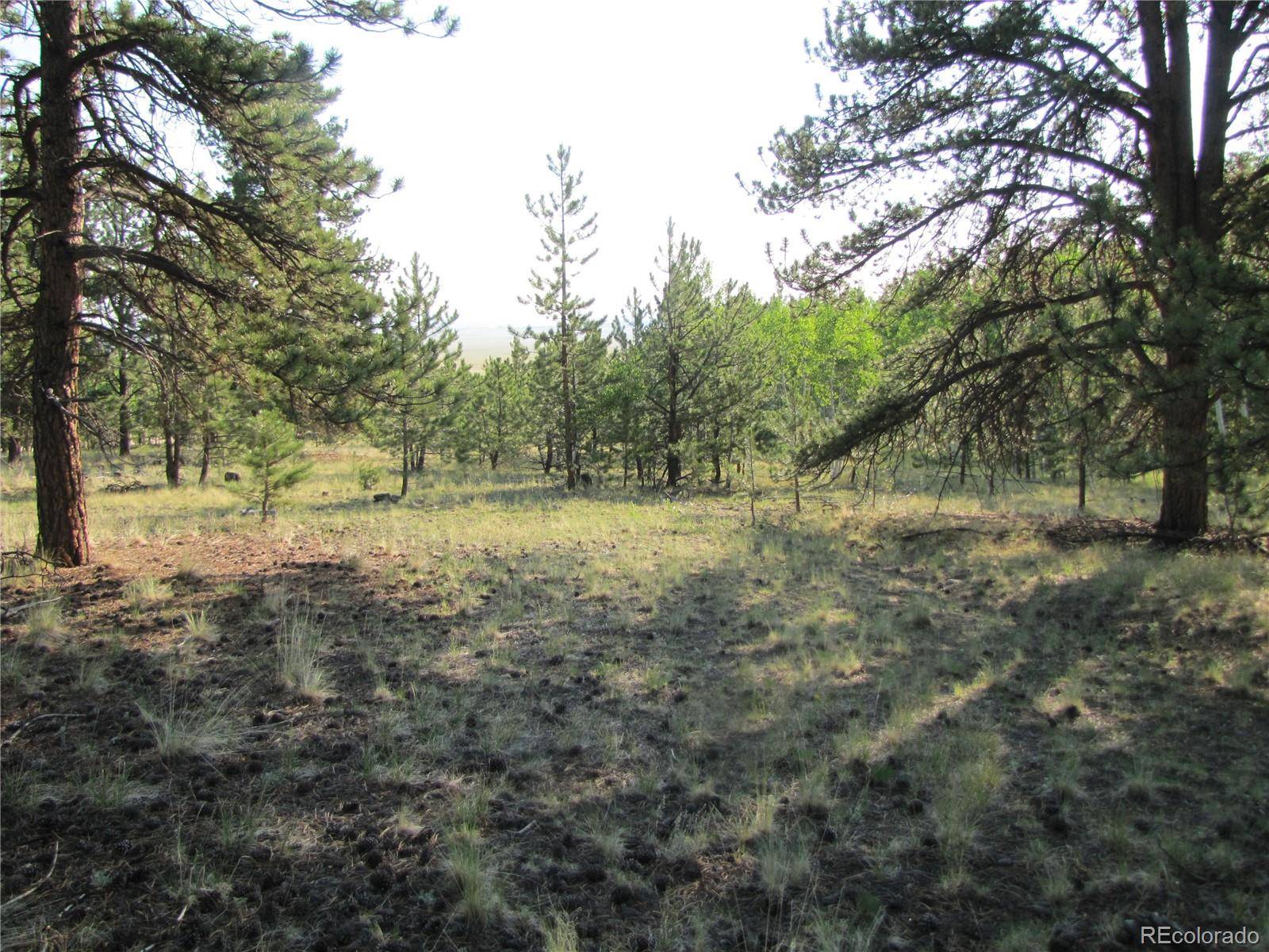 9736 Ranch RD, Hartsel, CO 80449