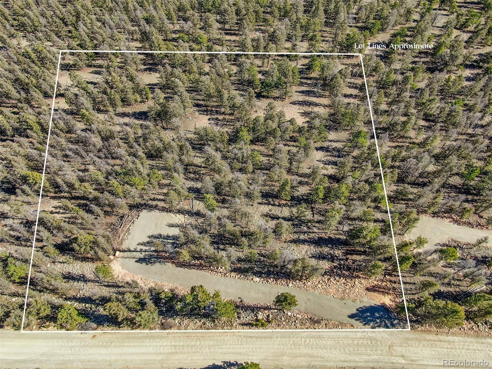 4538 Middle Fork VIS, Fairplay, CO 80440