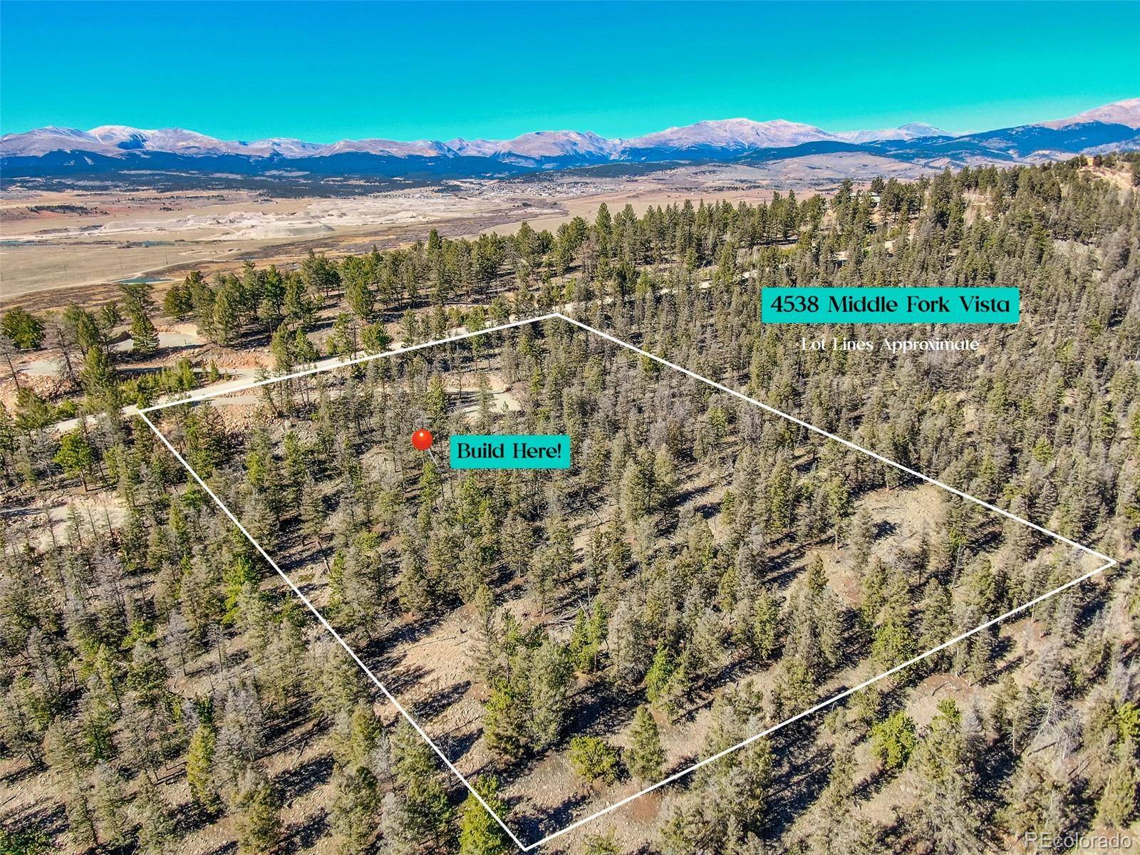 4538 Middle Fork VIS, Fairplay, CO 80440