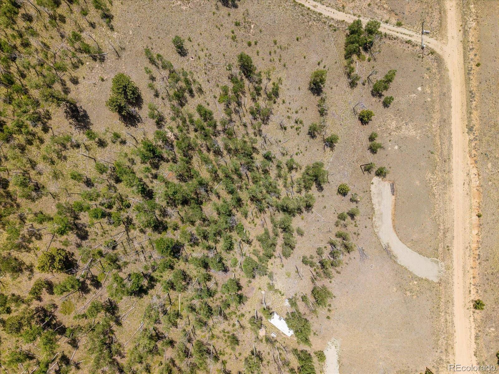 40 Brahma CT, Hartsel, CO 80449