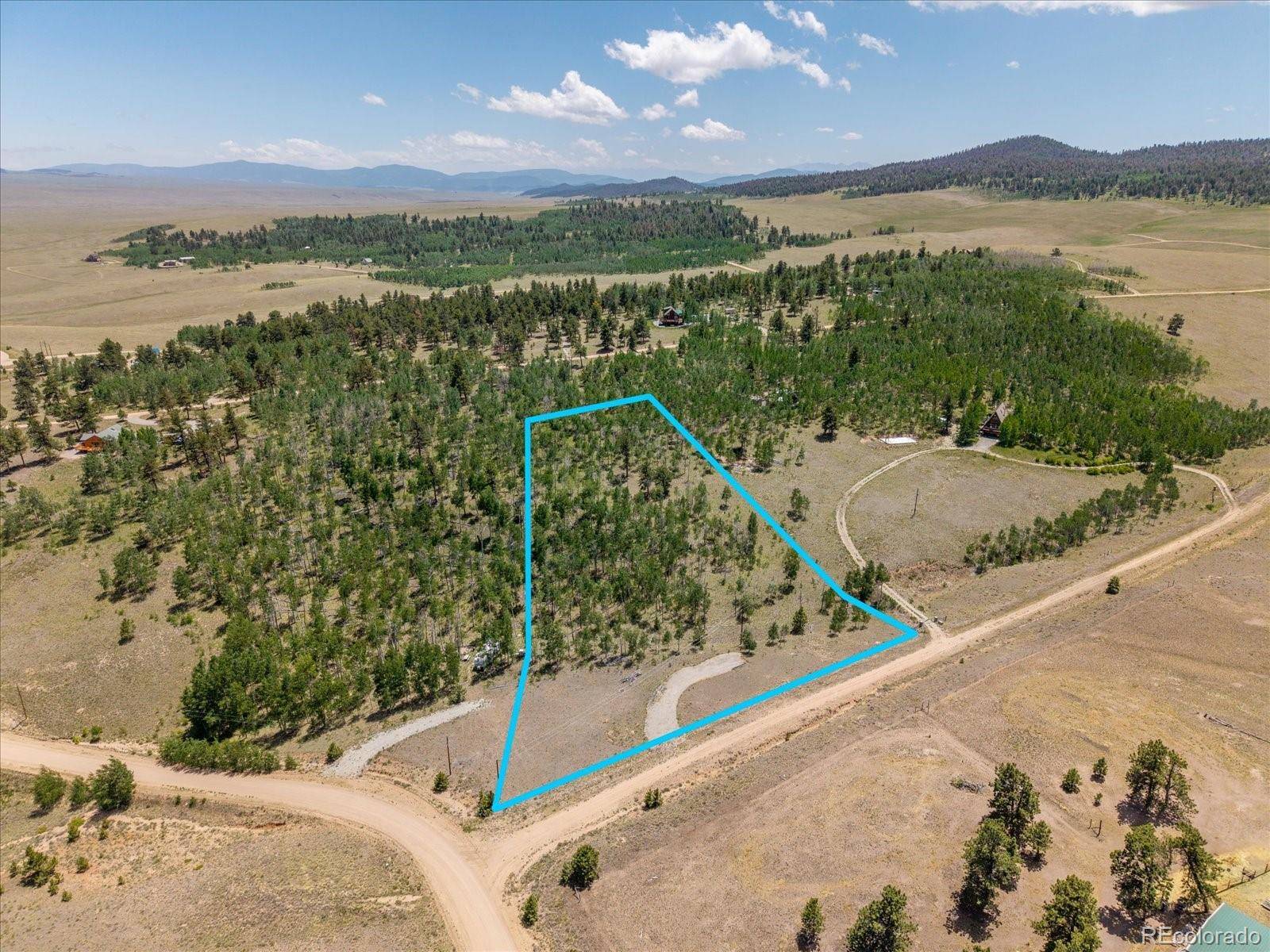 40 Brahma CT, Hartsel, CO 80449