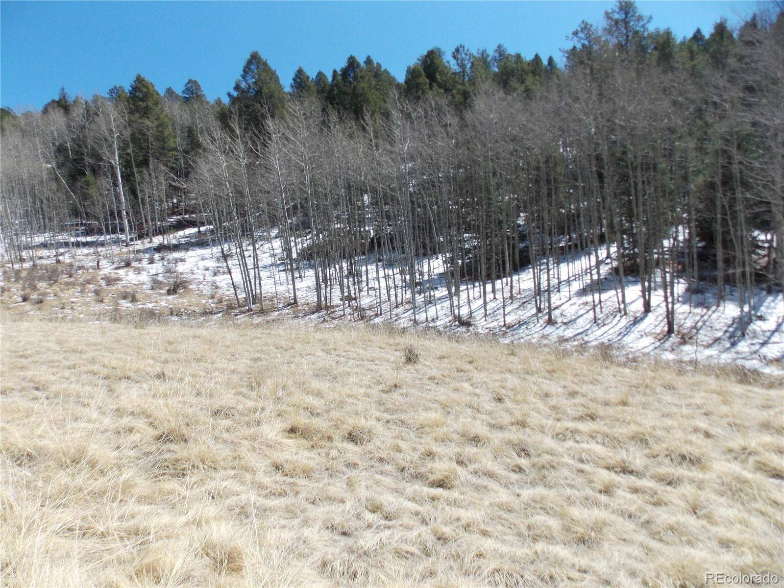 388 Grey Eagle DR, Cripple Creek, CO 80813