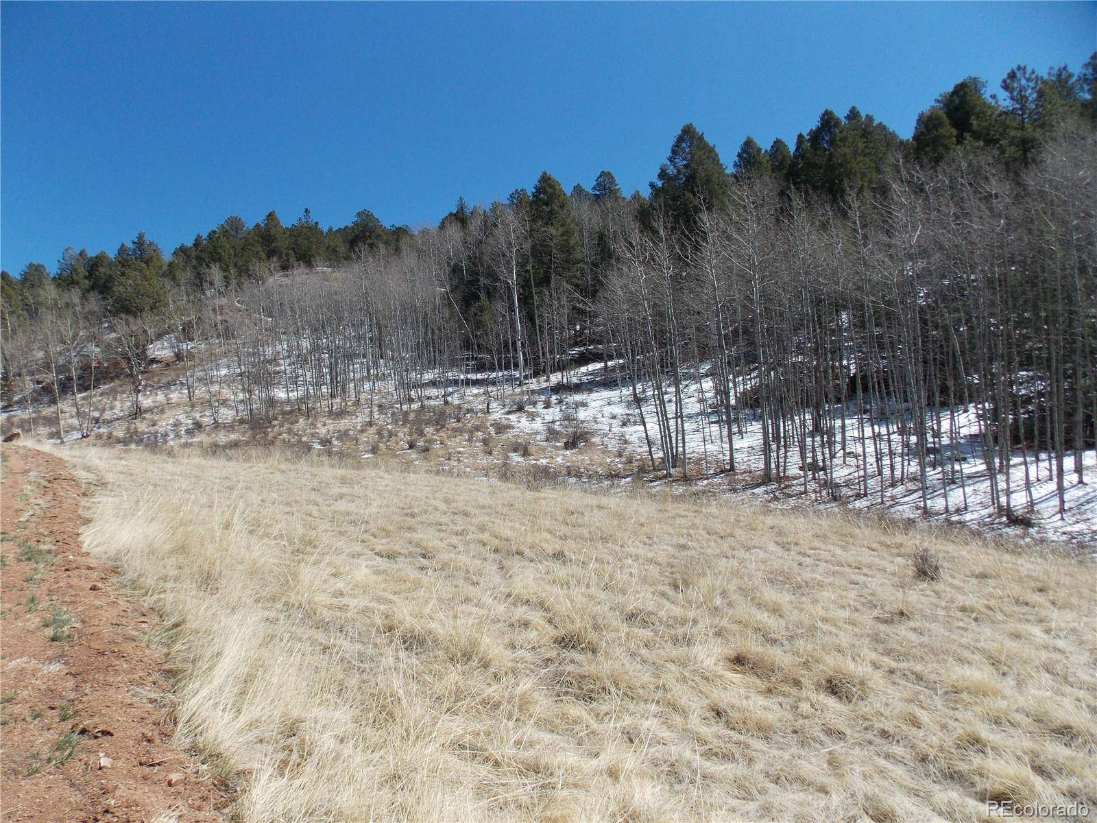 388 Grey Eagle DR, Cripple Creek, CO 80813