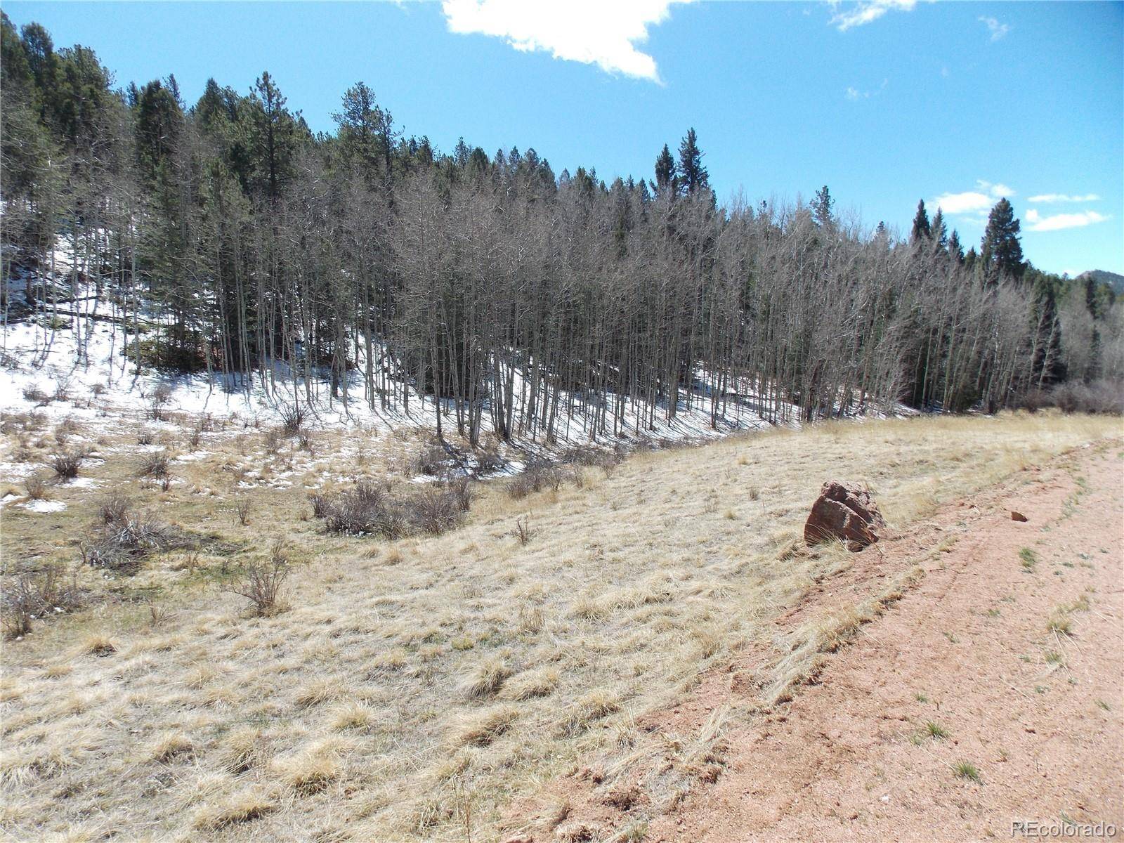 388 Grey Eagle DR, Cripple Creek, CO 80813