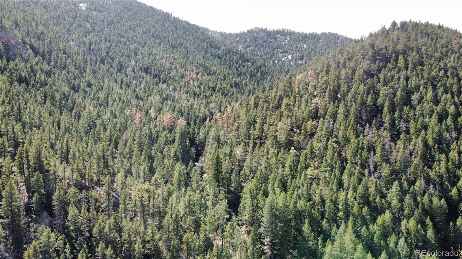 7893 Fourmile Canyon DR, Boulder, CO 80302