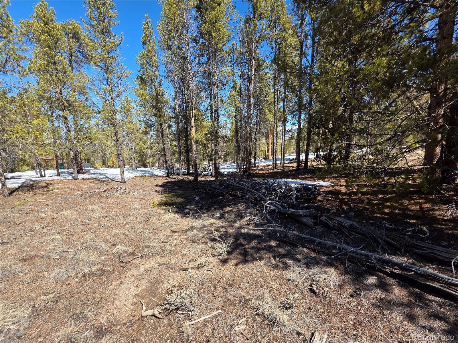 Pan Ark Lots 20 & 29, Twin Lakes, CO 81251