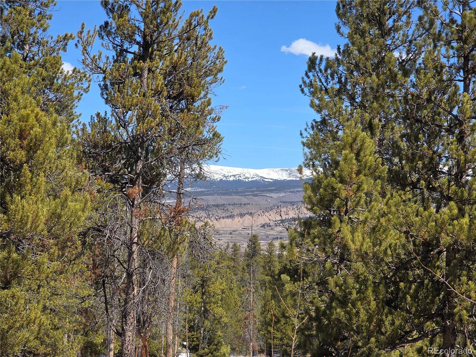 Pan Ark Lots 20 & 29, Twin Lakes, CO 81251