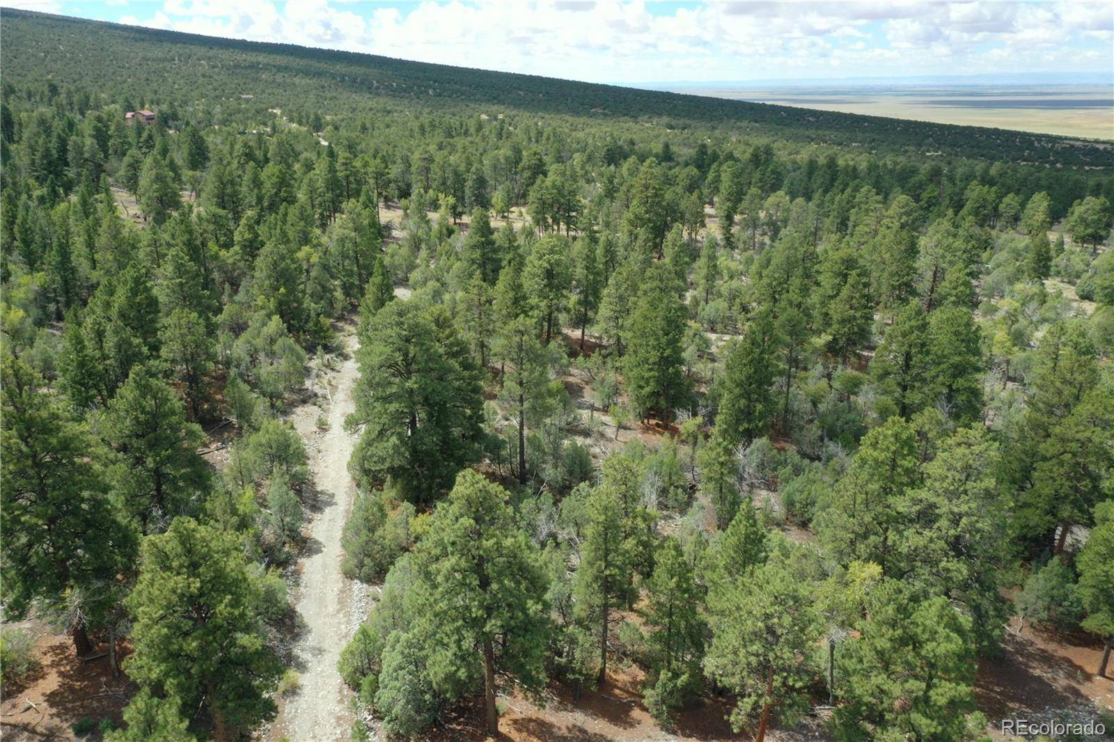 Big Bear RD, Mosca, CO 81146