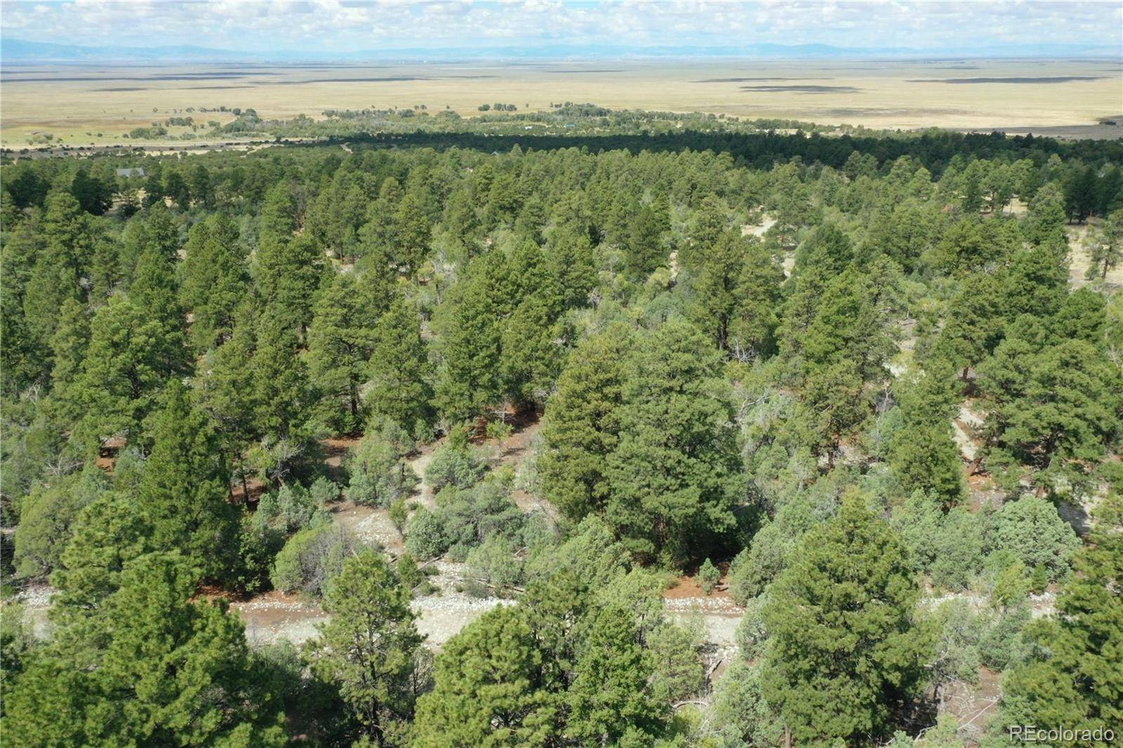 Big Bear RD, Mosca, CO 81146