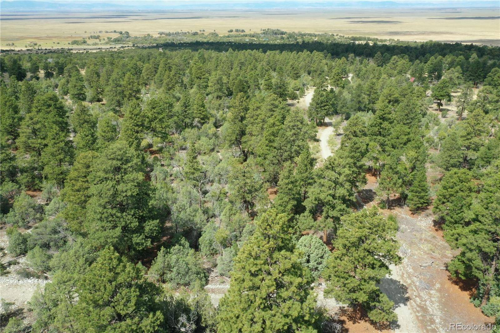 Big Bear RD, Mosca, CO 81146