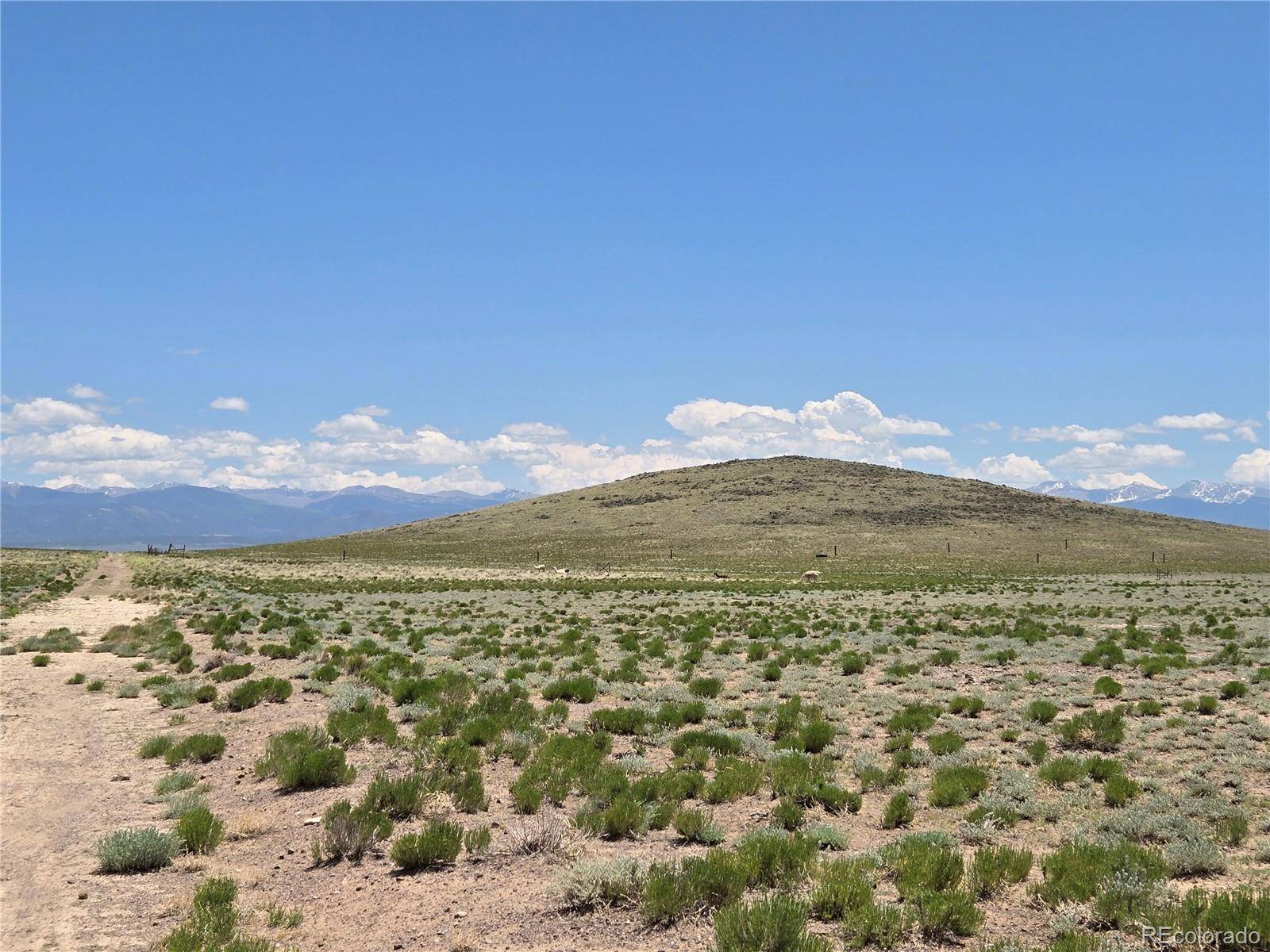South 2nd Street Lot 7, Blanca, CO 81133