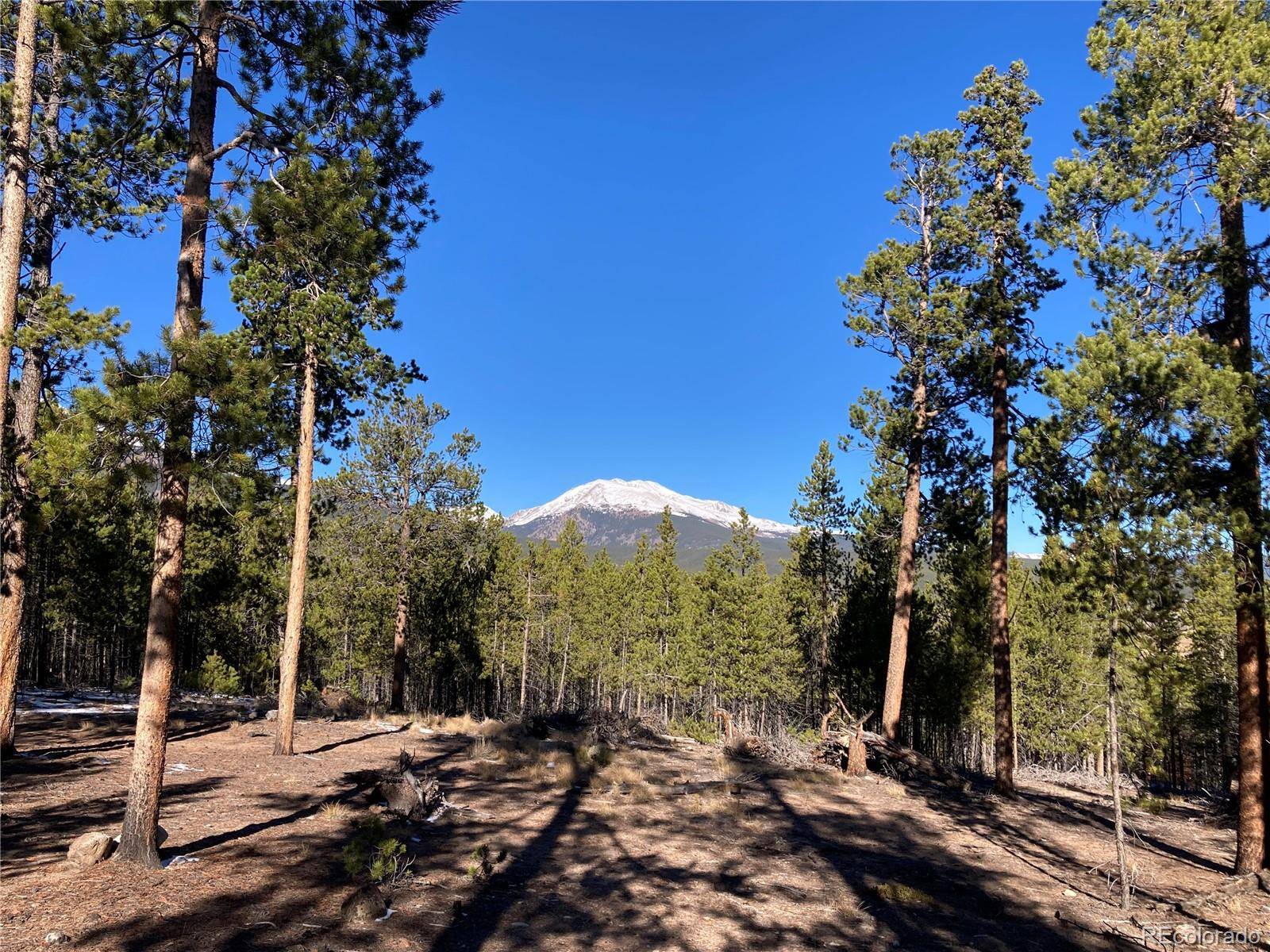 758 Spruce DR, Twin Lakes, CO 80461