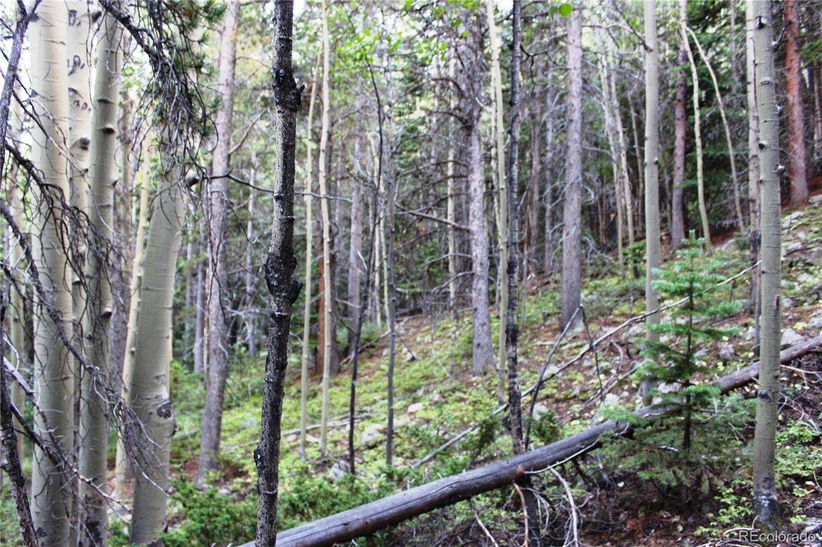 5340 FS 718.1, Black Hawk, CO 80422