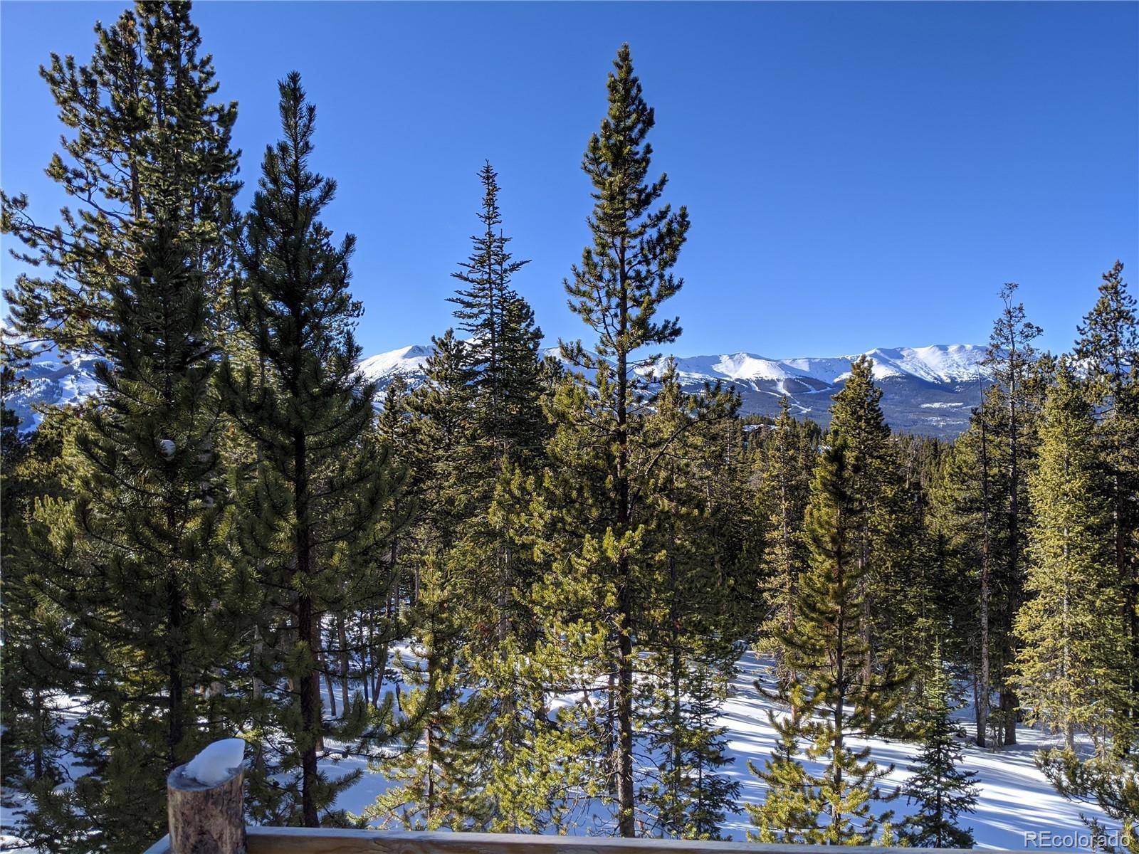 0190 Berlin Placer RD, Breckenridge, CO 80424