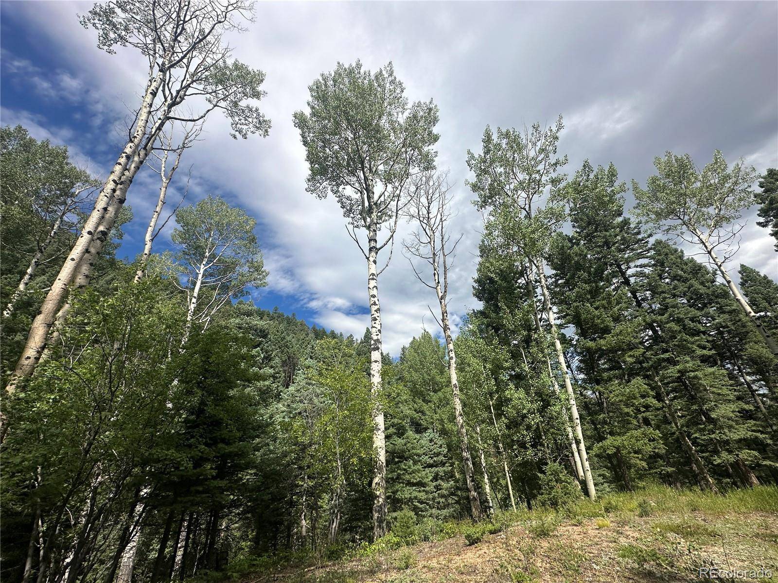 272 Fern Valley, Manitou Springs, CO 80829