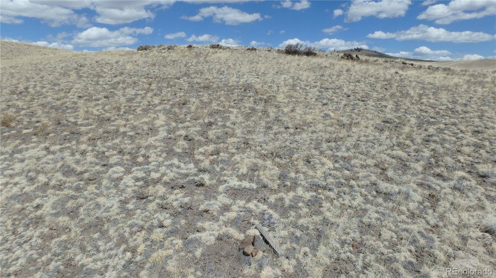 Seneca RD, Hartsel, CO 80449