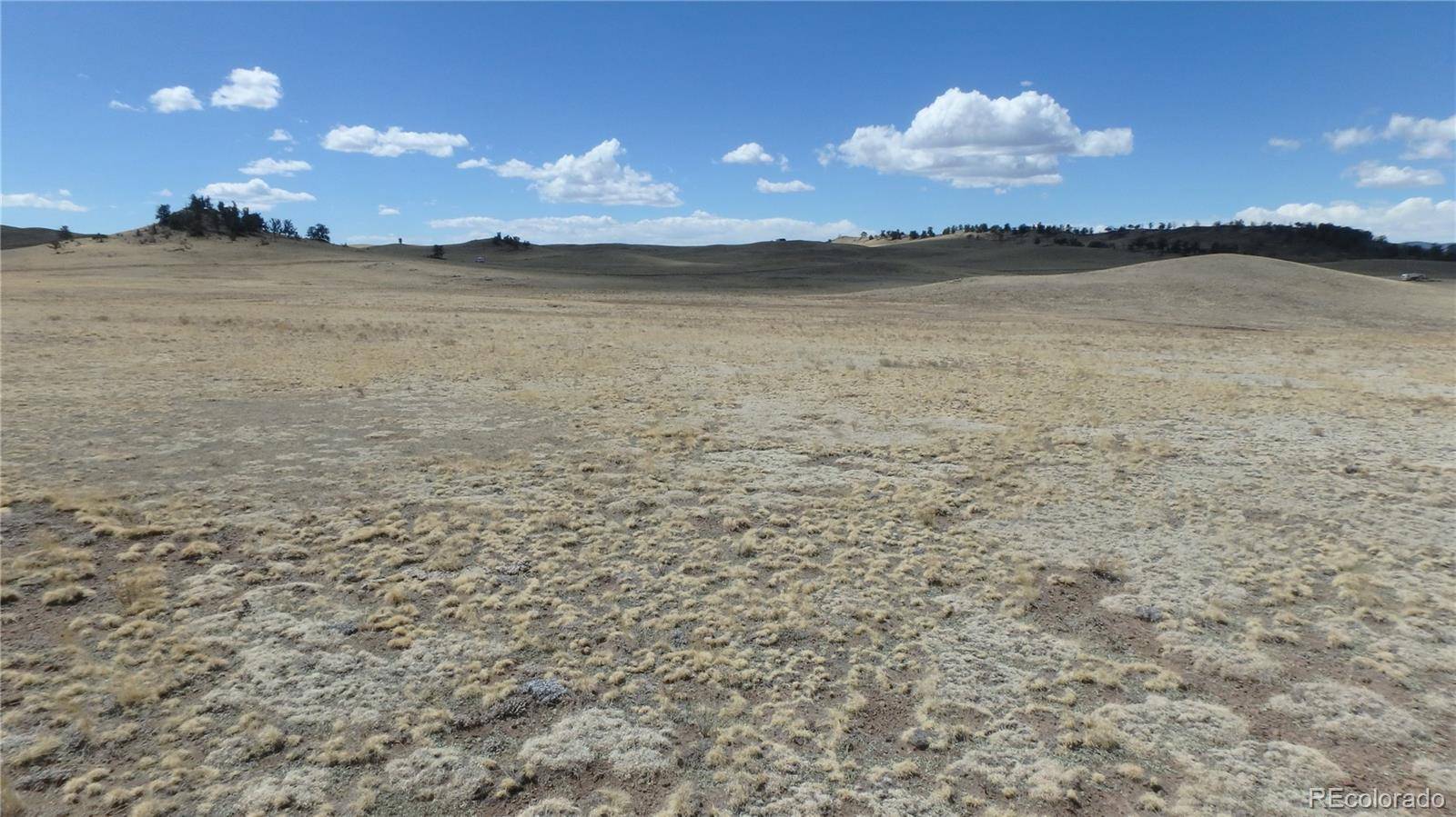 Seneca RD, Hartsel, CO 80449