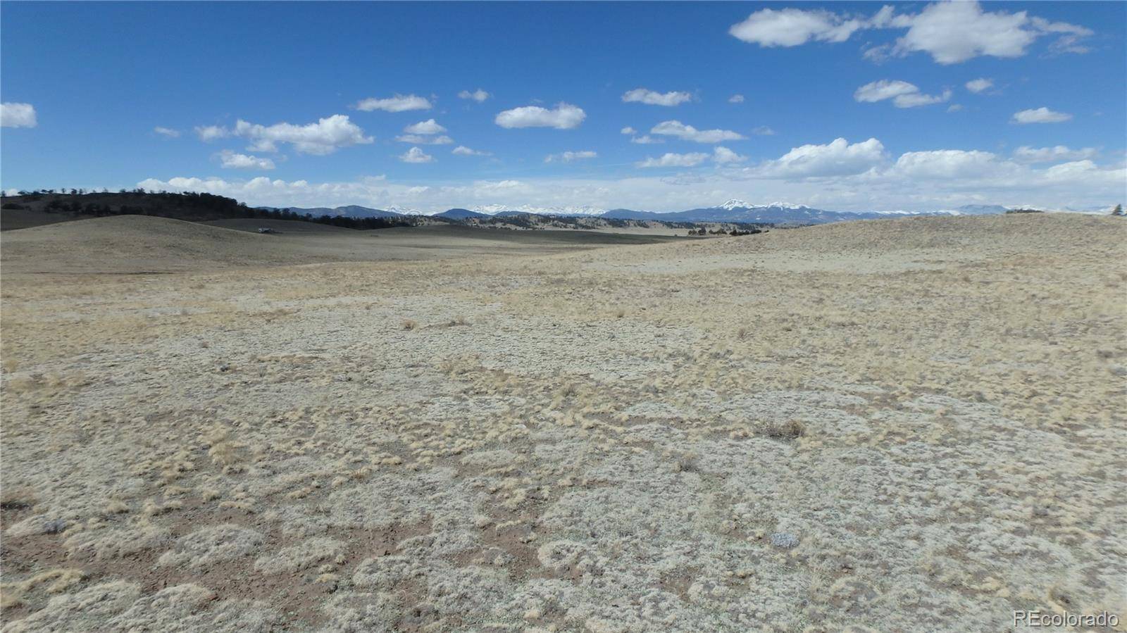 Seneca RD, Hartsel, CO 80449