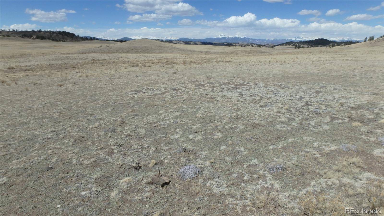 Seneca RD, Hartsel, CO 80449