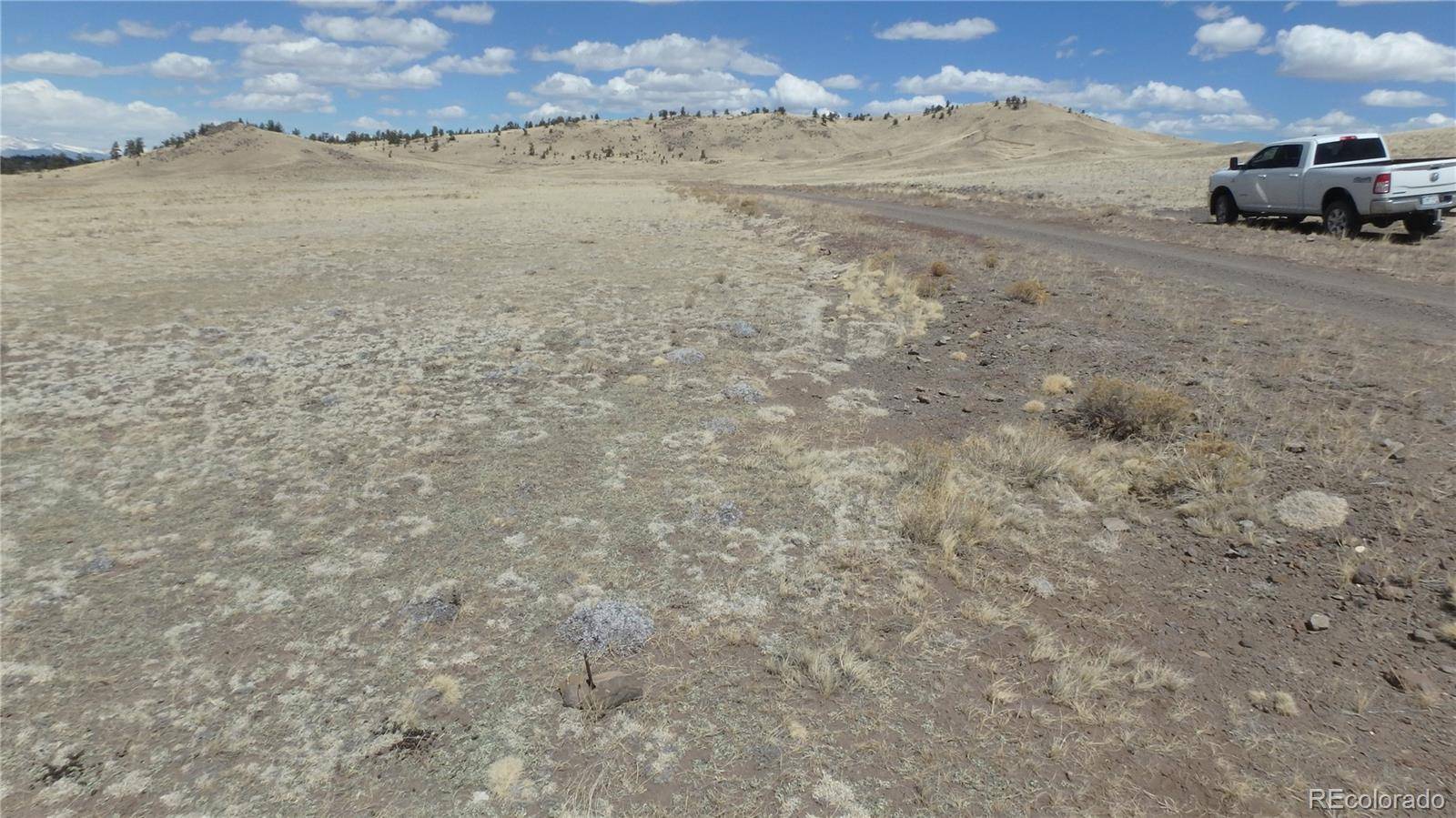 Seneca RD, Hartsel, CO 80449