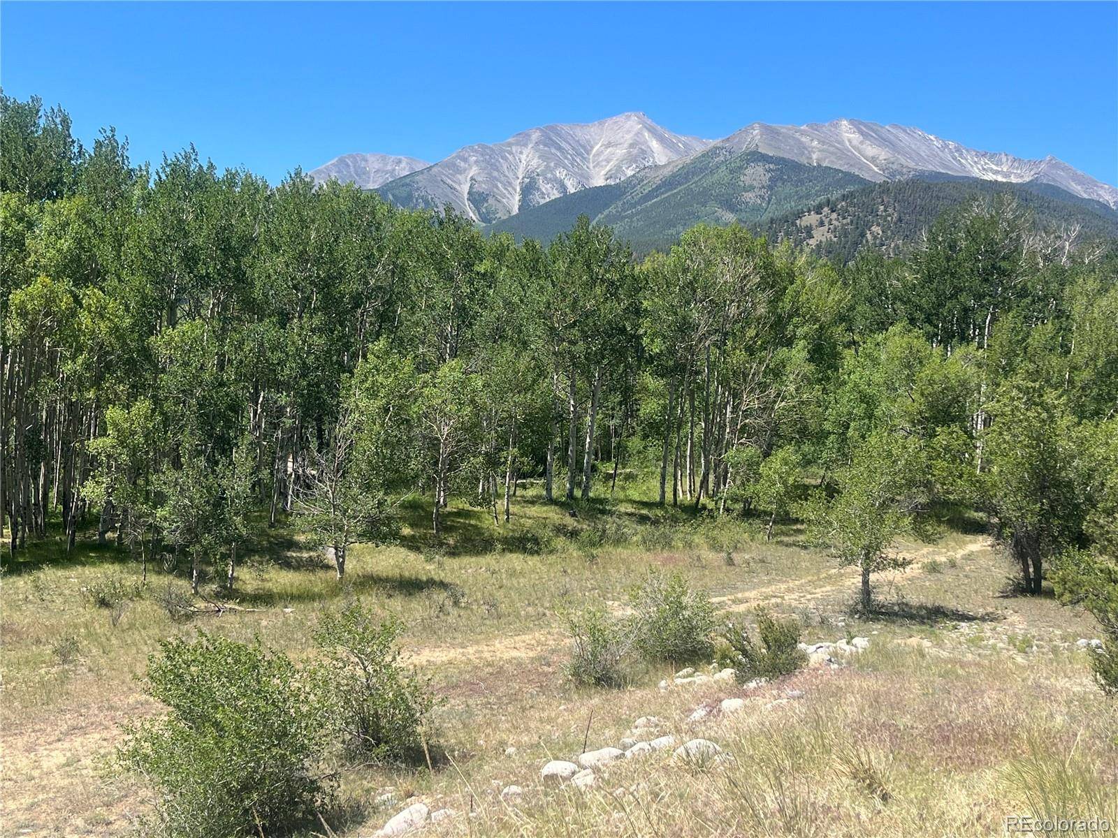 17573 Trout CIR, Buena Vista, CO 81211