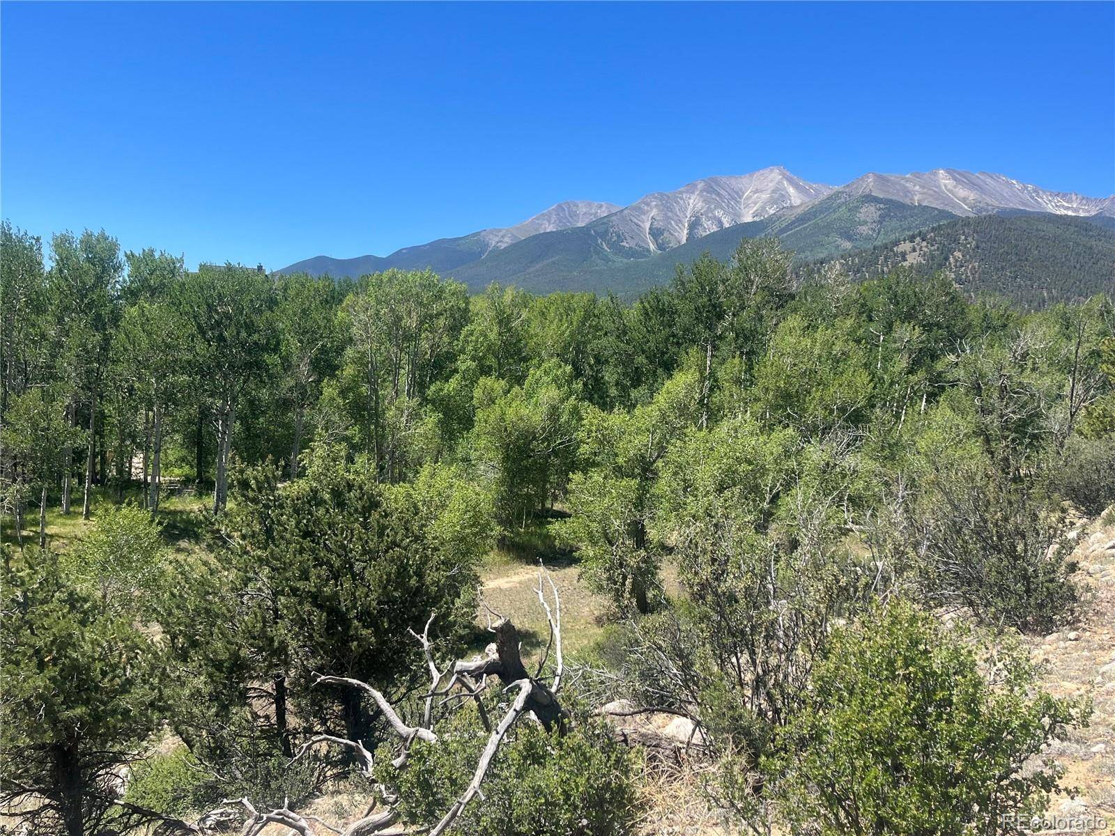 17573 Trout CIR, Buena Vista, CO 81211