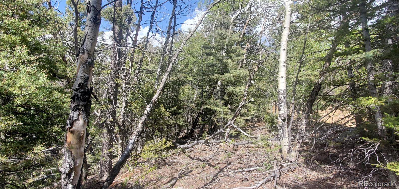 Lot 5610 Dawson RD, Fort Garland, CO 81133