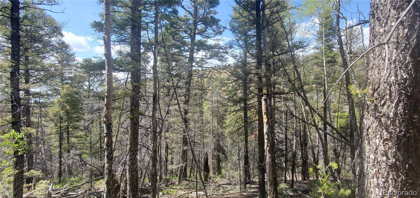 Lot 5610 Dawson RD, Fort Garland, CO 81133