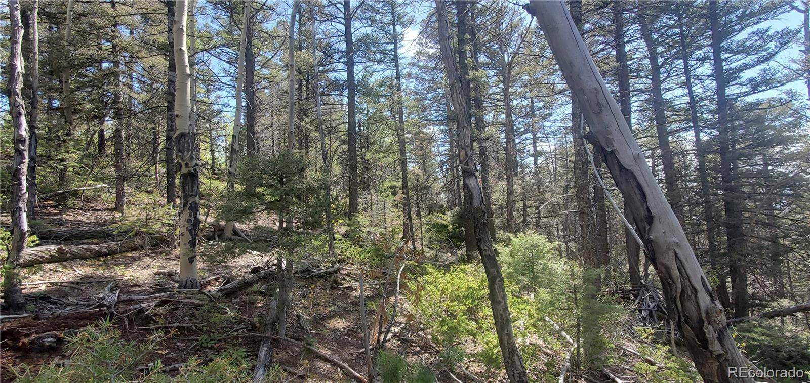 Lot 5610 Dawson RD, Fort Garland, CO 81133